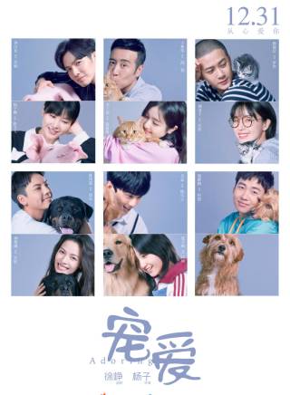 郎月婷(中國內地女演員) 郎月婷(中國內地女演員)