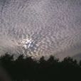 捲積雲 捲積雲