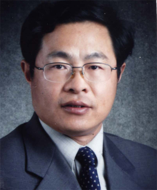 王超(西安交通大學教授)
