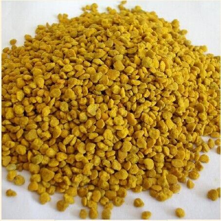 五味子花粉 五味子花粉