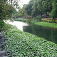 沿山河 沿山河