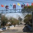 杜莊村(河南焦作市溫縣北冷鄉下轄村) 杜莊村(河南焦作市溫縣北冷鄉下轄村)