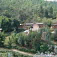 石鮓拉村 石鮓拉村