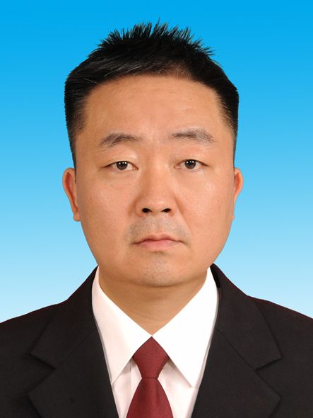 陳偉峰(河南省南陽市桐柏縣淮源鎮黨委副書記、鎮長) 陳偉峰(河南省南陽市桐柏縣淮源鎮黨委副書記、鎮長)