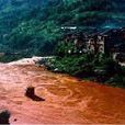 濁水 濁水