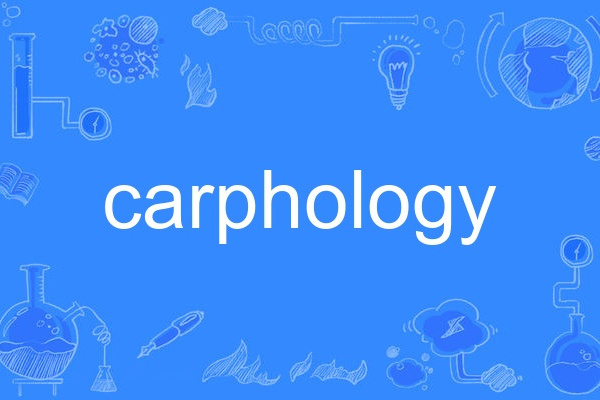 carphology carphology