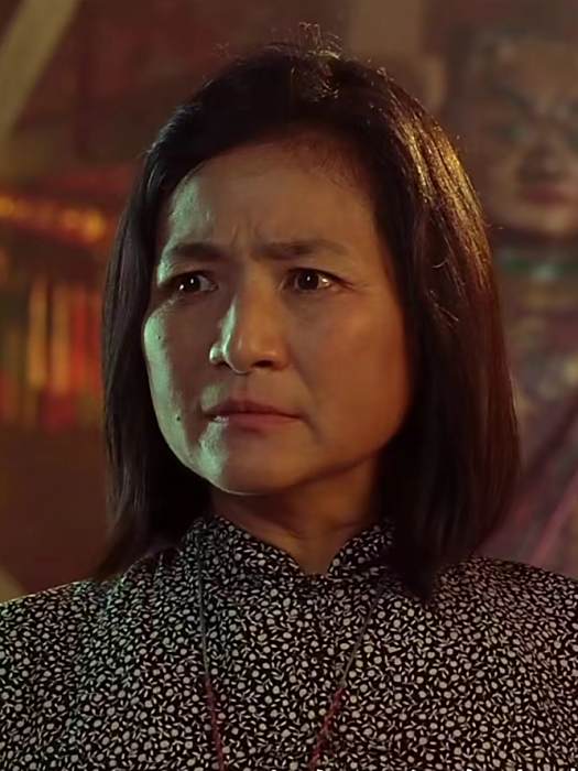 程菲(《赤裸特工》中由鄭佩佩飾演的虛擬角色) 程菲(《赤裸特工》中由鄭佩佩飾演的虛擬角色)