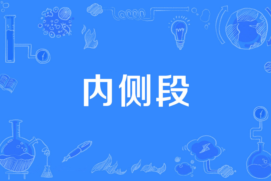 內側段 內側段