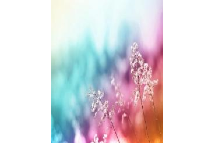 芳草淒清 芳草淒清