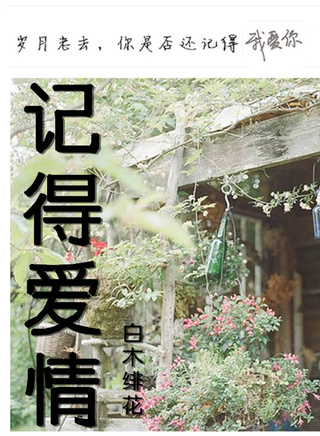 金相中 金相中