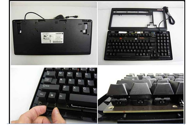 櫻桃G80-3494LYCUS-0 櫻桃G80-3494LYCUS-0