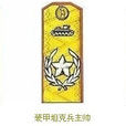 軍兵種主帥 軍兵種主帥