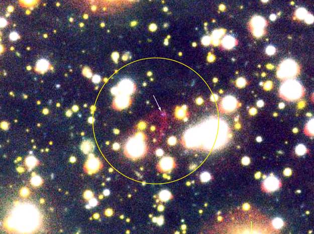 RX J185635-375：夸克星的候選者