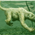 海懶獸 海懶獸