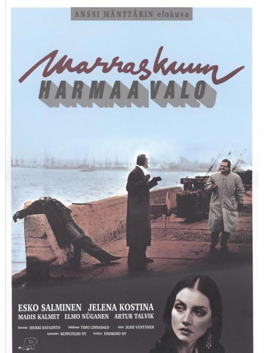 賊捉賊(芬蘭1993年Anssi Mänttäri執導的電影) 賊捉賊(芬蘭1993年Anssi Mänttäri執導的電影)