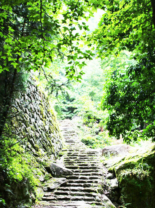 穹嶺古道 穹嶺古道