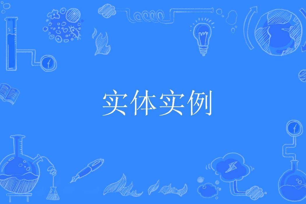實體實例 實體實例