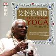 艾揚格瑜伽 艾揚格瑜伽
