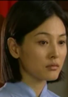 新四軍(2003年吳京安主演電視劇)