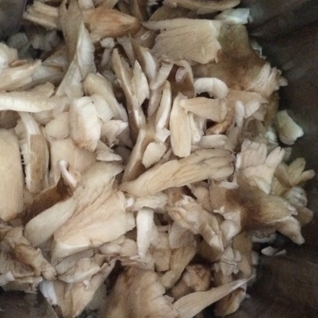雞樅菌蘑菇濃湯