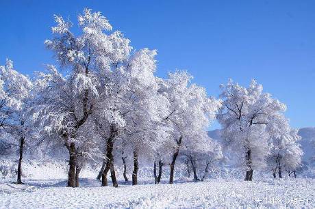 雪青色的雪景