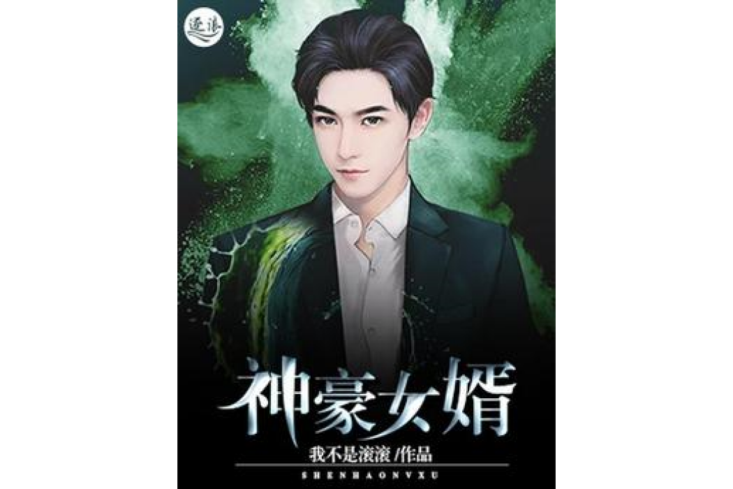 神豪女婿 神豪女婿