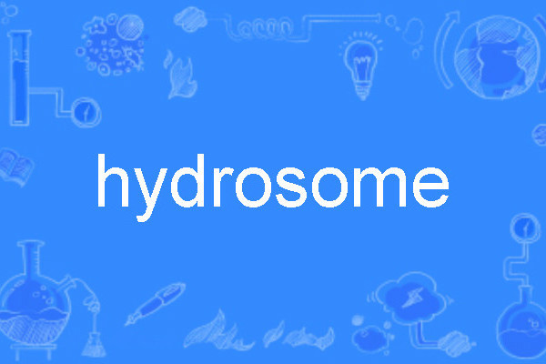 hydrosome hydrosome