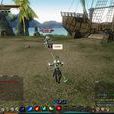 第九大陸PVP 第九大陸PVP