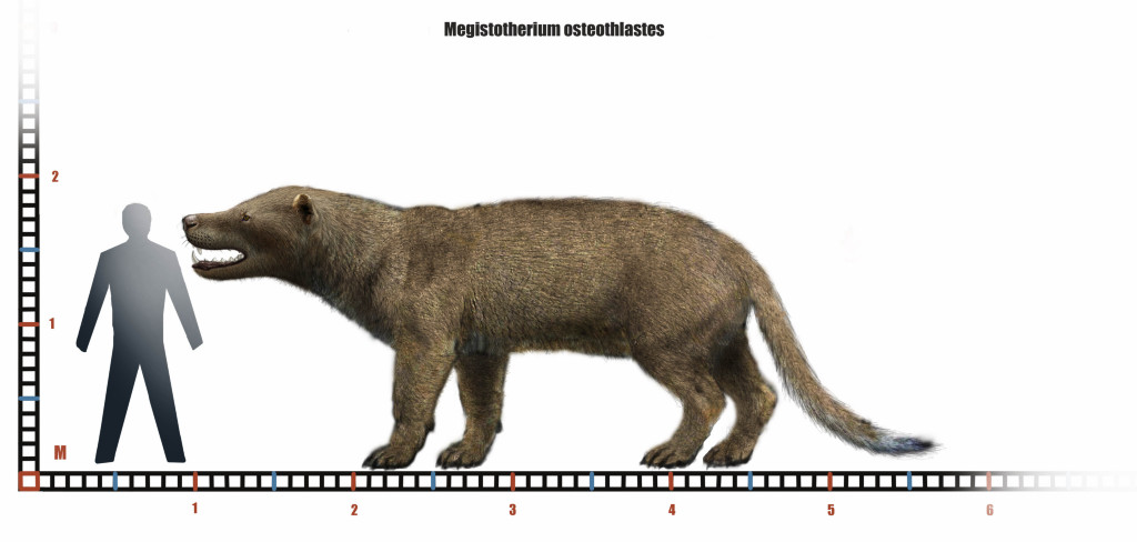 大鬣獸與1.8米高人類對比圖