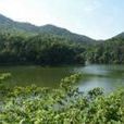 崇慶村 崇慶村