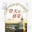 登天的感覺(2004年上海人民出版社出版的圖書)