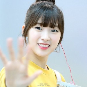 崔乂園 崔乂園