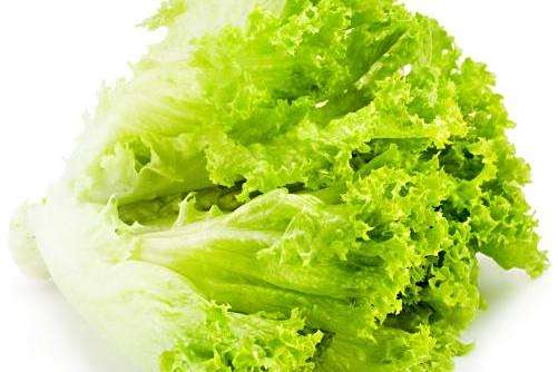 軟尾生菜 軟尾生菜