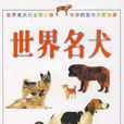 世界名犬 世界名犬