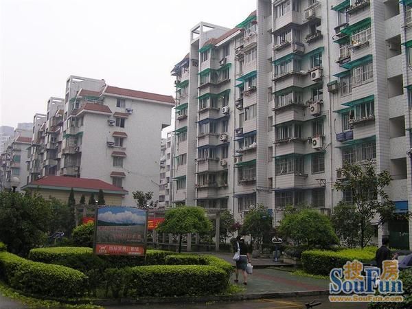 采荷東區 采荷東區