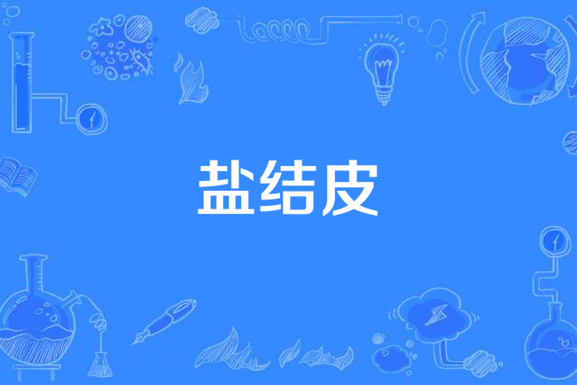 鹽結皮 鹽結皮