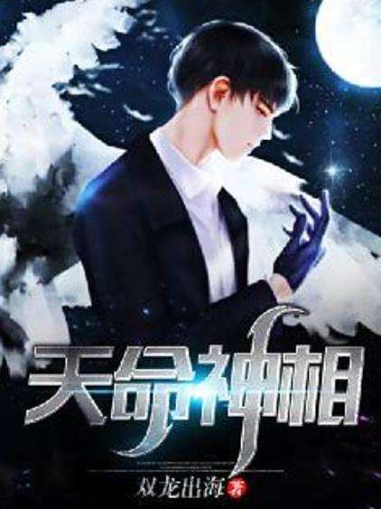 天命神相(雙龍出海創作的都市小說)