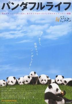 大熊貓的生活