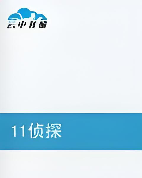 11偵探 11偵探