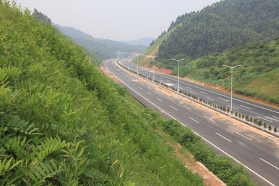 承包高速護坡綠化工程