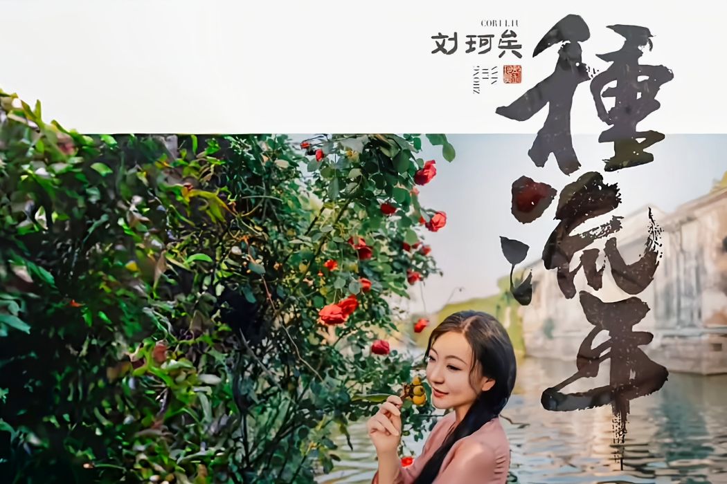 種流年 種流年