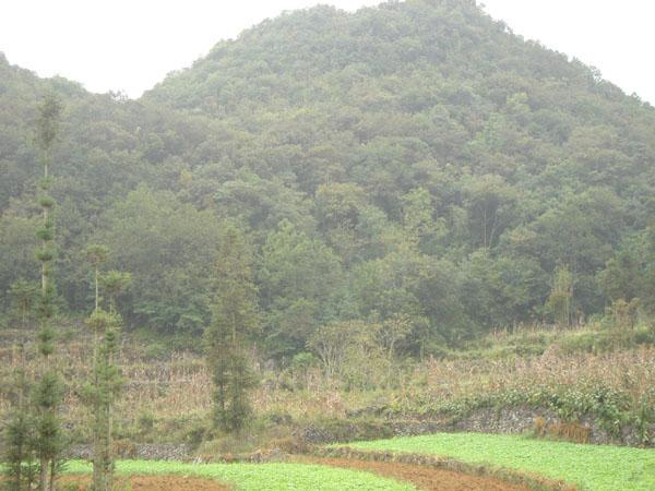 小毛草窪村 小毛草窪村