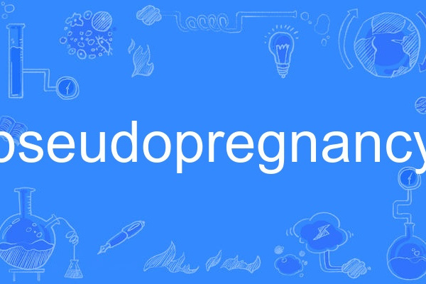 pseudopregnancy