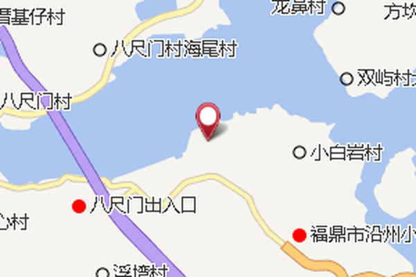 魚科 魚科