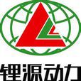 中國鋰源動力集團