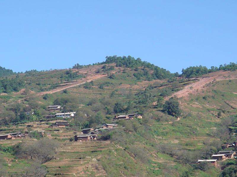坡崗二村