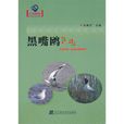 黑嘴鷗(邱英傑著作圖書) 黑嘴鷗(邱英傑著作圖書)