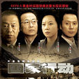 國家行動(2009年陳育新執導電視劇)