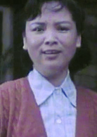 鄉情(1981年胡炳榴、王進執導電影)