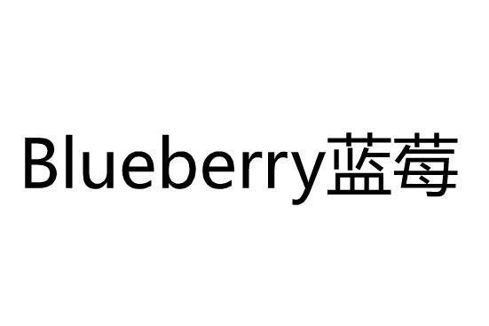 Blueberry藍莓 Blueberry藍莓